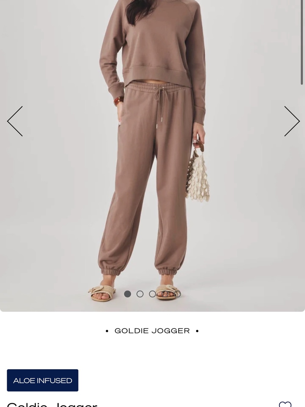 Splendid Taupe Drawstring Joggers - Picture 2 of 6